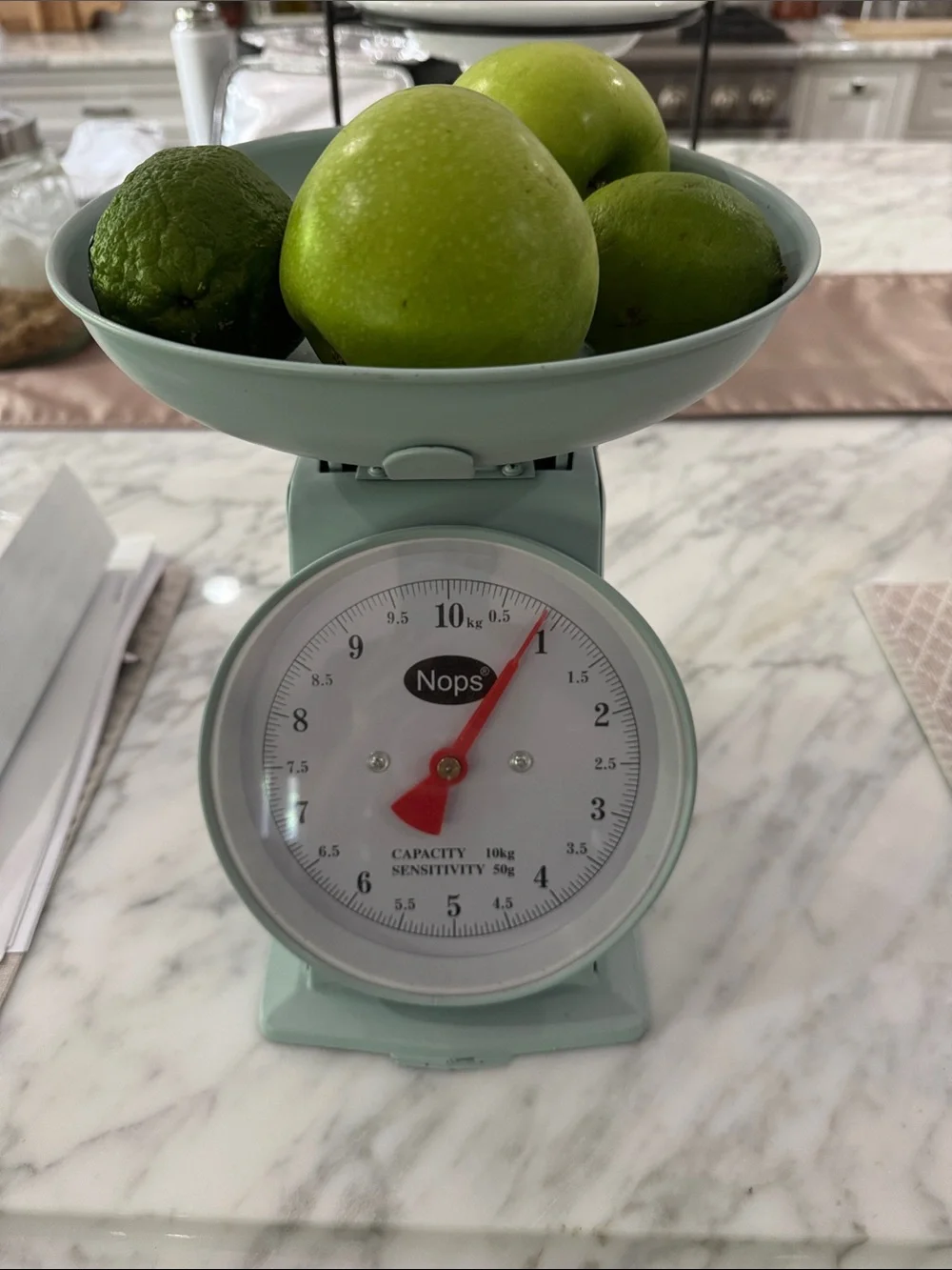 NOR Retro Mint Green Analog Kitchen Scale with Red Pointer
